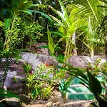 Bamboo Groove Hostel