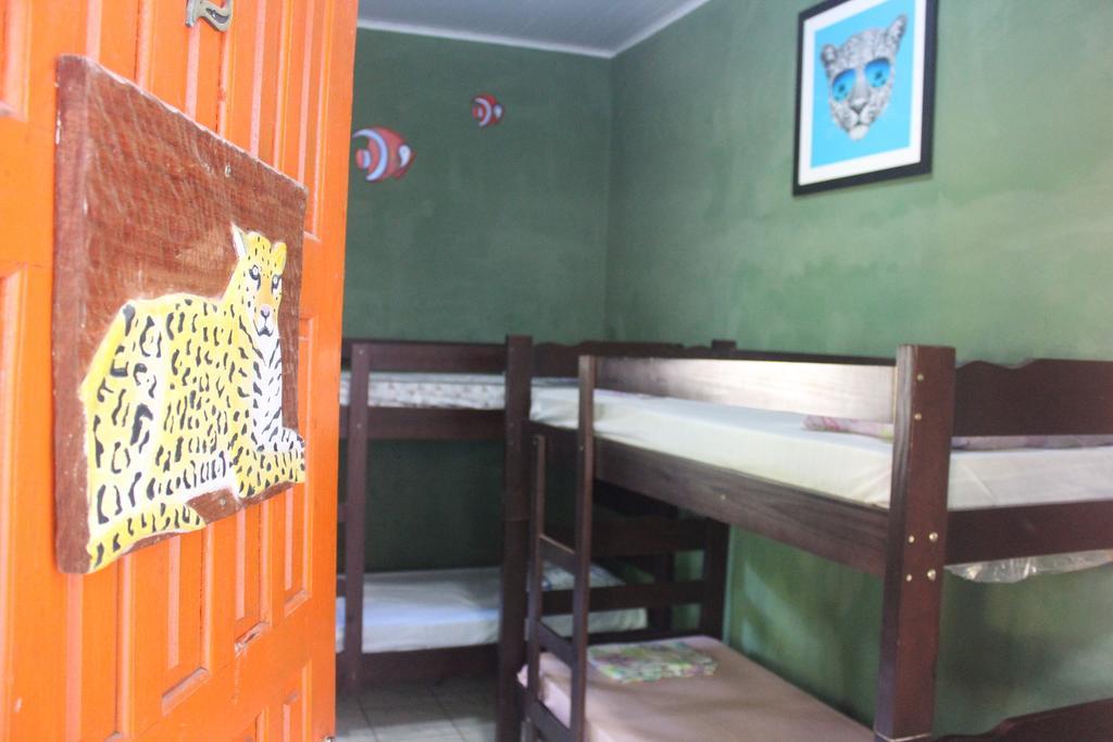 Albergue Bamboo Groove *