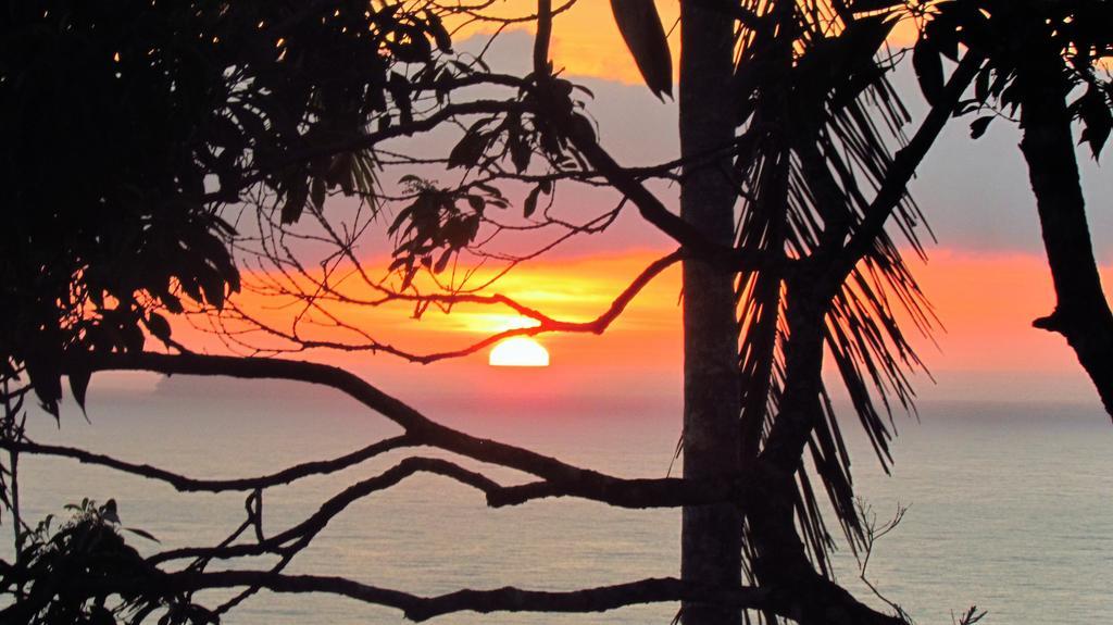 Albergue Bamboo Groove Ubatuba